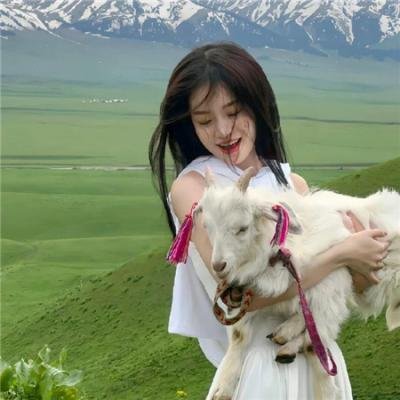 山河披锦绣海报